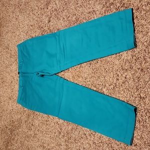 Zara Basic Teal Dress Pant